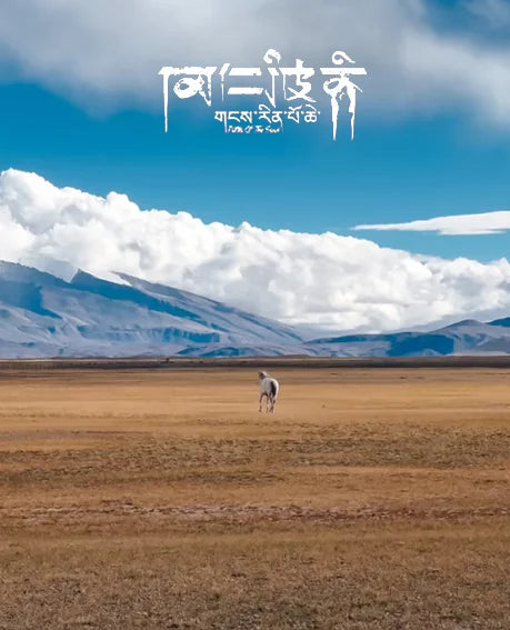 Ferromagnetic Focus · Modern Minerology|Tiger Eye Bracelet