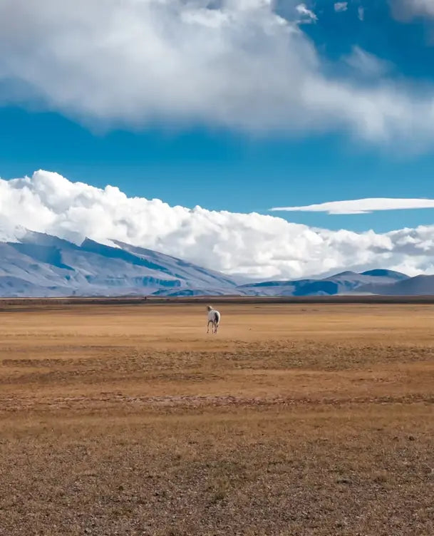 Himalayan Pilgrimage|Amethyst & Clear Quartz Single-Strand Bracelet