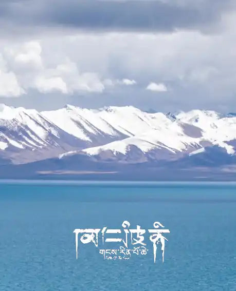 Walnut Birth Year Bracelet – Modern Weave, Timeless Fortune