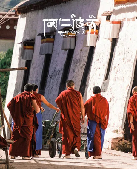 Xizang Turquoise Single Wrap Bracelet|Tranquility · Gilded Blessings