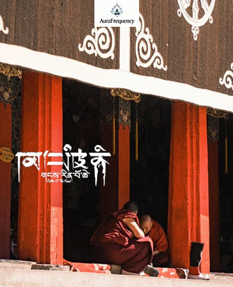 Rose Quartz 6mm Mala Bead Bracelet