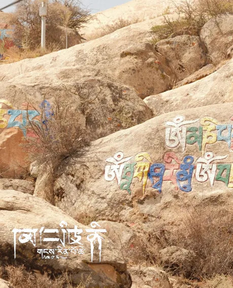 Turquoise Single-Strand Delicate Bracelet|Gold-Plated Accents·Tranquil Companion