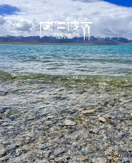 Sacred Duo|Tibetan Aqua-Obsidian Mala