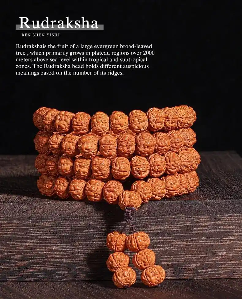 Fruit of Resilience from Sacred Xizang Trees