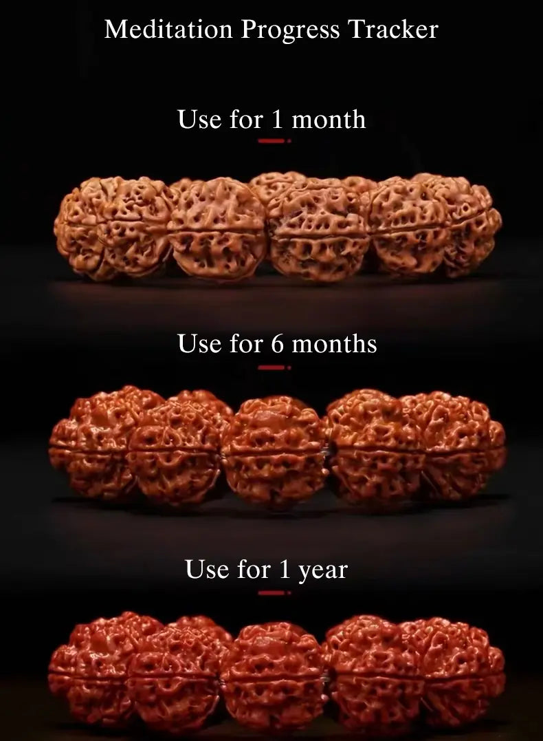 Fruit of Resilience from Sacred Xizang Trees