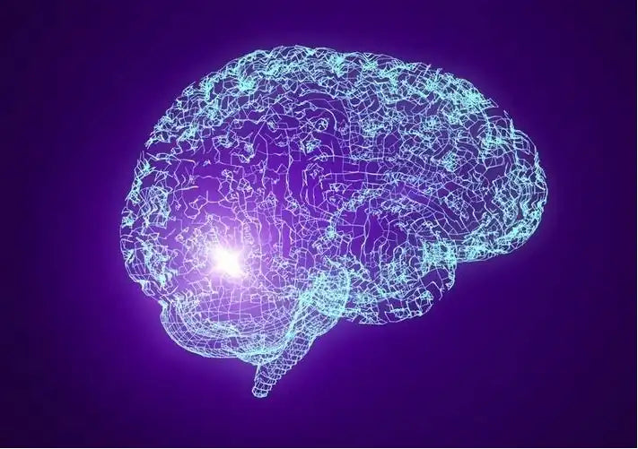 Unlock the Beauty and Energy of Amethyst: A Timeless Gem