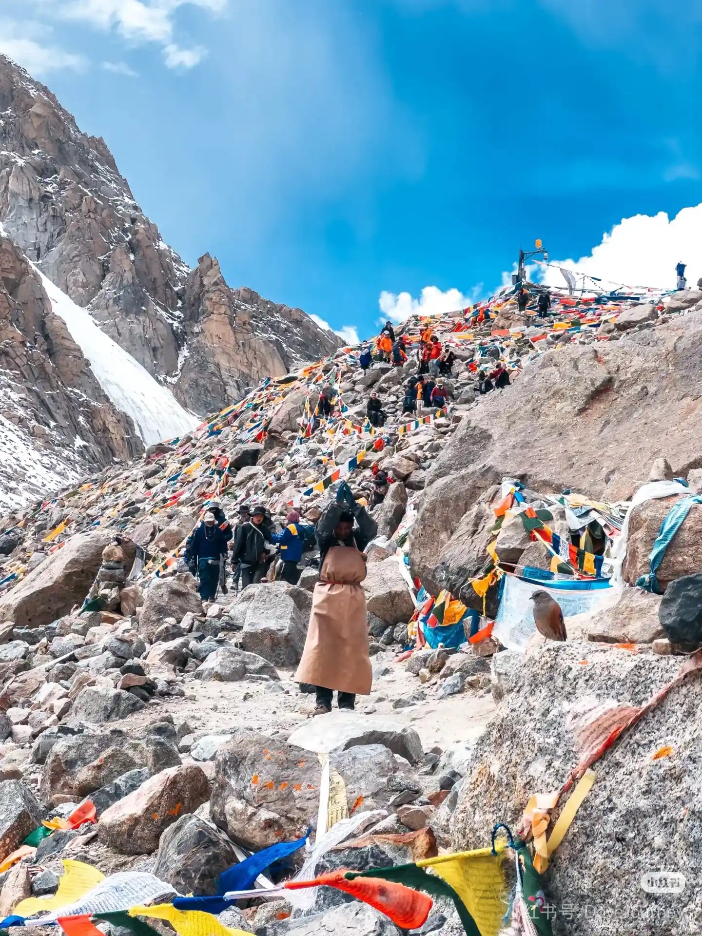 Himalayan Golden Radiance｜Citrine & Rose Quartz Bracelet