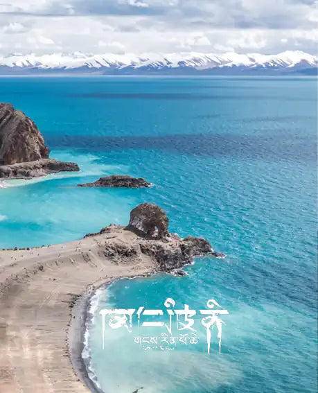 Walnut Birth Year Bracelet – Modern Weave, Timeless Fortune