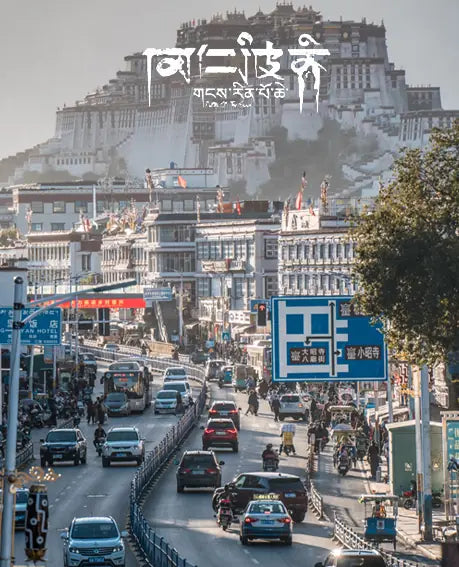 Himalayan Dual Orbit