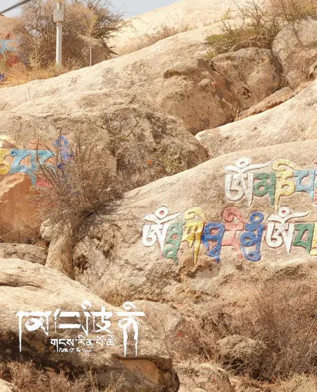 Himalayan Lumina · Rose Quartz Bracelet