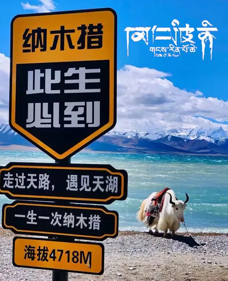 Tibetan Guardian Trio | Obsidian, Clear Quartz & Smoky Quartz Bracelet