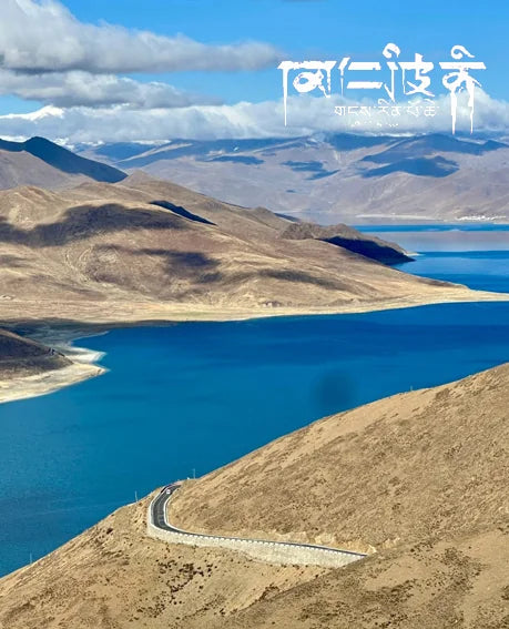 Turquoise Double Wrap｜Coiled Dragon · Citrine Energy