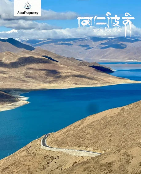 Single-Layer Bracelet｜Amethyst & Citrine · Himalayan Harmony——Your Wrist’s Natural Symphony