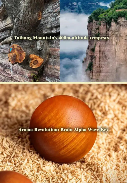 [Celestial Breath] 12mm Taihang Cliff Antique Arborvitae Bracelet｜350-Year Petrified Resilience, Neuro-Soothing Aroma Therapy