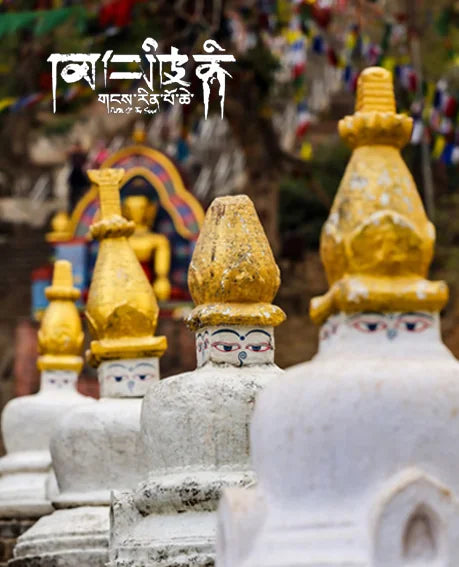 Multi-Wrap Turquoise｜Sun &amp; Ember Amber · Earth Resonance