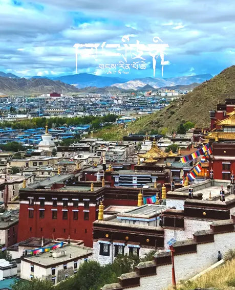 Turquoise Double Wrap｜Coiled Dragon · Citrine Energy