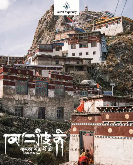 Citrine Single-Layer Bracelet｜Amber Glow with Amethyst Core·Himalayan Light——Your Wristbound Energy Treasure