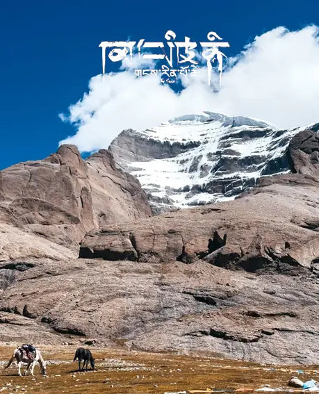 PURPLE HARMONY DUO｜Himalayan Clarity